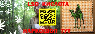 гидропоника Донской