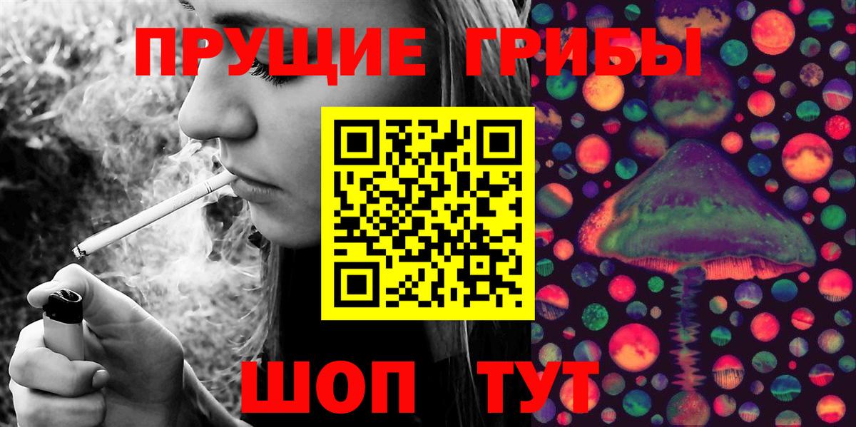 Михайловка  Псилоцибиновые грибы Magic Shrooms  Вход с VPN 