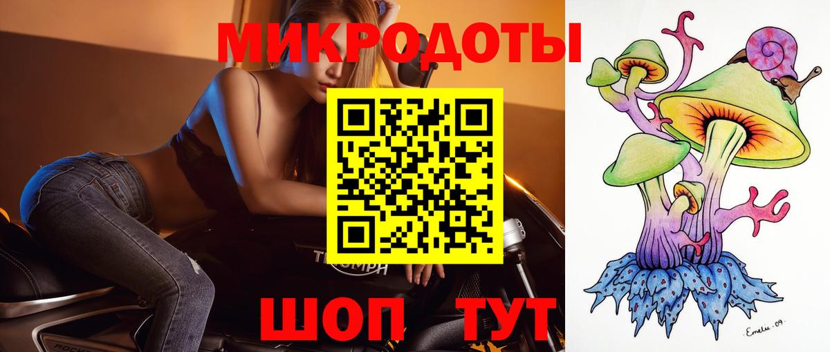 Псилоцибиновые грибы Cubensis Михайловка